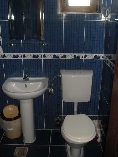 Hostal Pensiunea Pluto Sulina