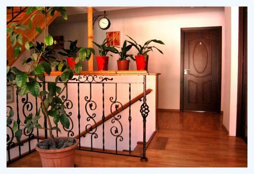 Hostal Pensiunea Pluto Sulina