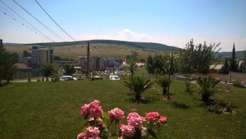 Hostal Vila Allegra Guesthouse