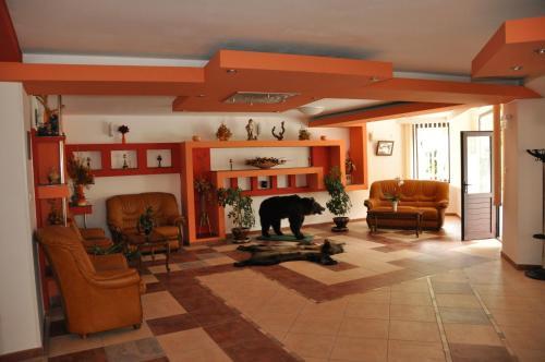 Hostal Pensiunea Alex