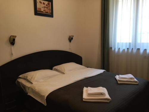 Hostal Pensiunea Casa Transilvania