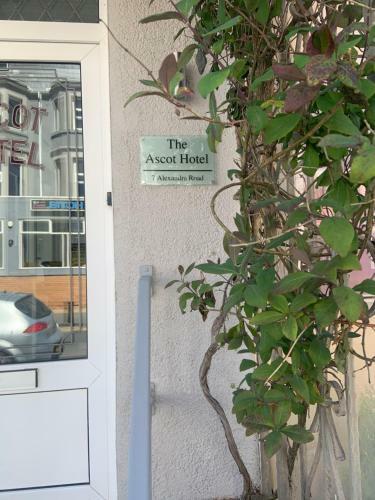 Hostal The Ascot Hotel