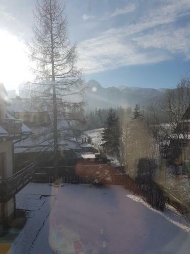 Sunshine Chalet