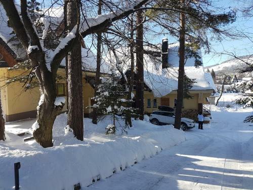 Sunshine Chalet