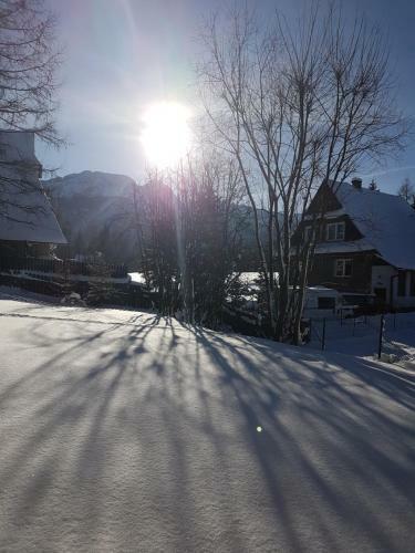 Sunshine Chalet