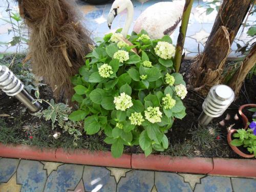 Hostal Guest House Lazurny Briz