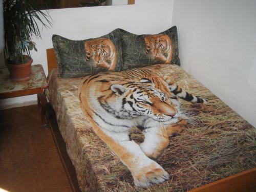 Hostal Vila Aluni? Predeal