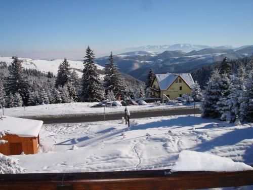 Hostal Vila Romanita