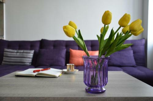 Apartamento City Spirit Sibiu