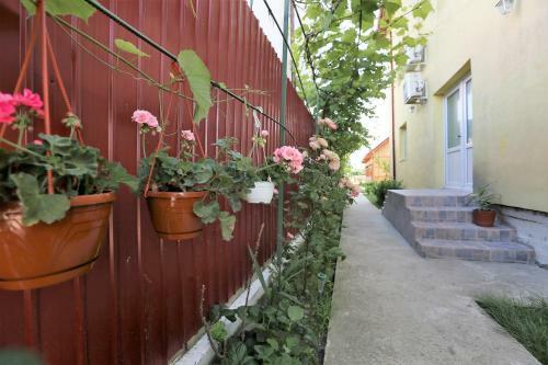 Hostal Casa Iustina Sulina