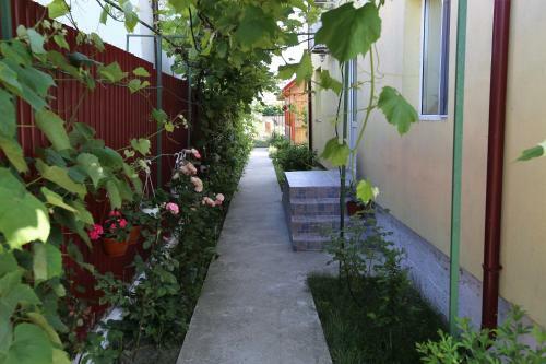 Hostal Casa Iustina Sulina