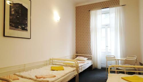 Hostel Witt