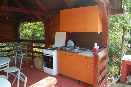 Hostal Pensiunea Gavruta