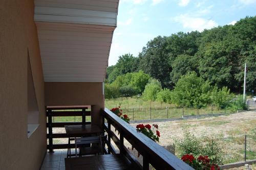 Hostal Pensiunea Gavruta