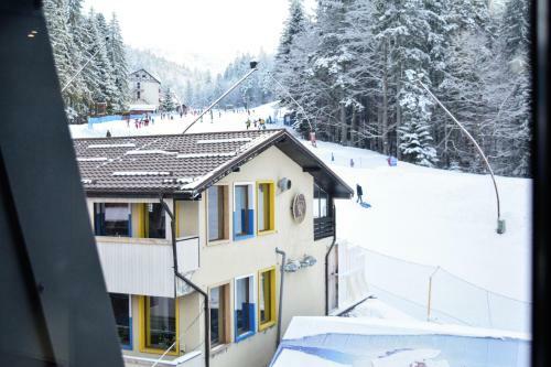 Bed & Breakfast Pensiunea Igloo