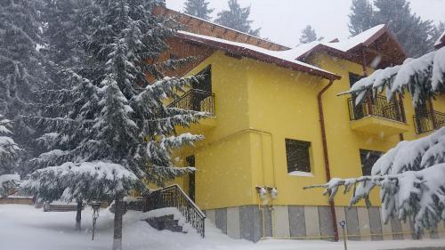 Vila Yellow