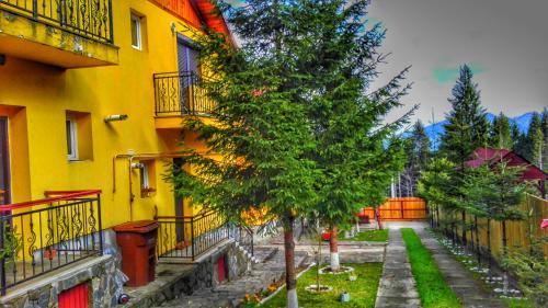 Vila Yellow
