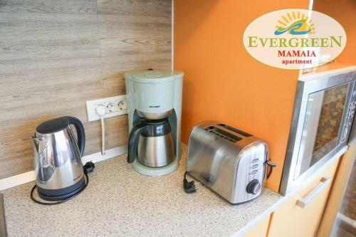Apartamento Evergreen Vlas Mamaia