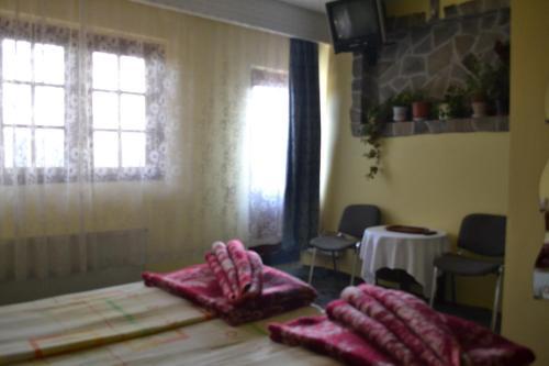 Hostal Villa Milcov