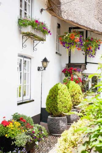 Bed & Breakfast Farmhouse Cottage