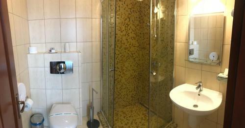 Hostal Pensiunea Gasthaus Alte Post
