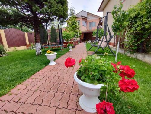 Hostal Casa Aura 1