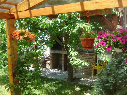 Hostal Alissim