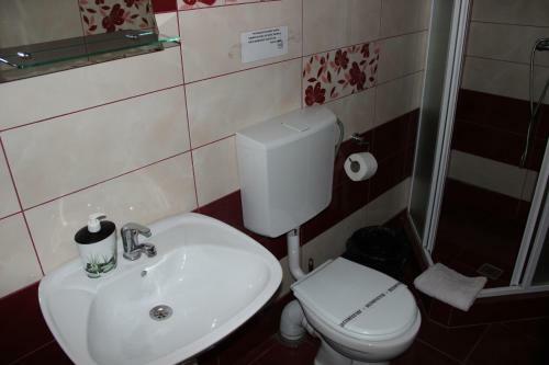 Hostal Pensiunea Delta D.m.y.