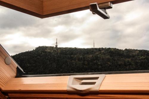 Apartament Racadau