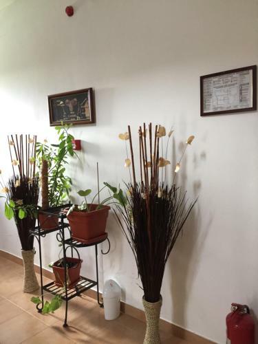 Hostal Vila Adrys