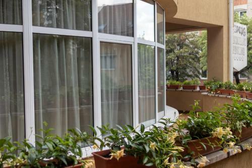 Hostal Pensiunea Europa