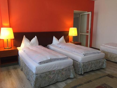 Hostal Pensiunea Vanessa