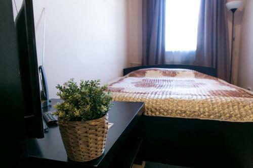 Albergue Vysshaya Liga