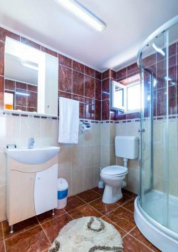 Hostal Pensiunea Mountain King