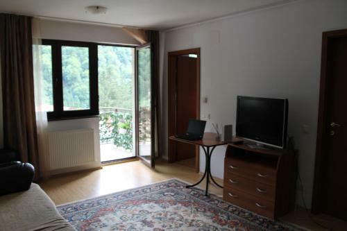 Apartamento Studio Lalelelor