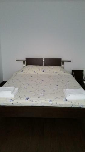 Apartament Tudor