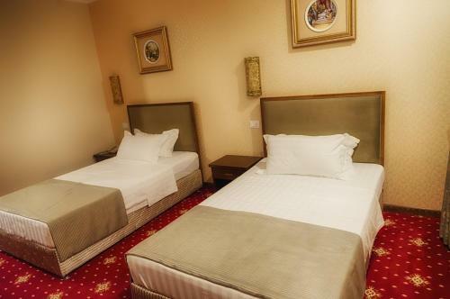 Hotel Elektra Vama Veche