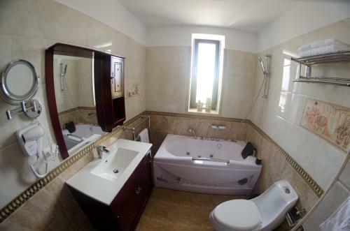 Hotel Elektra Vama Veche