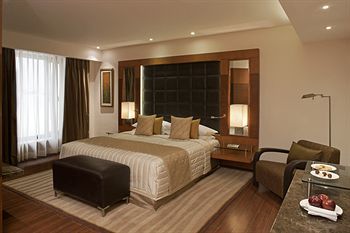 Hotel Radisson