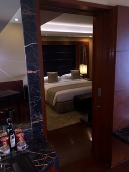 Hotel Radisson