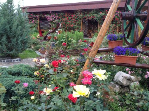 Hostal Pension Crocus