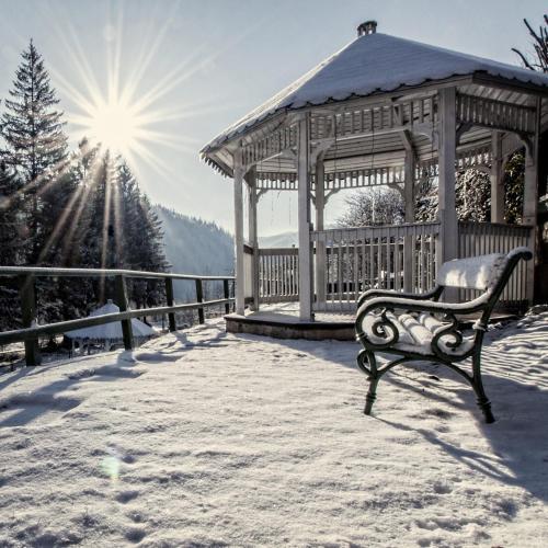 Hostal Vila Condor Sinaia
