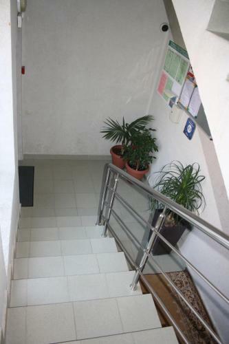Apartamento Mini-hotel Kamilla