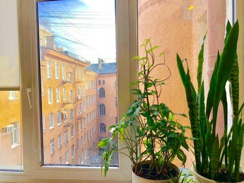 Apartment Close To Winter Palace