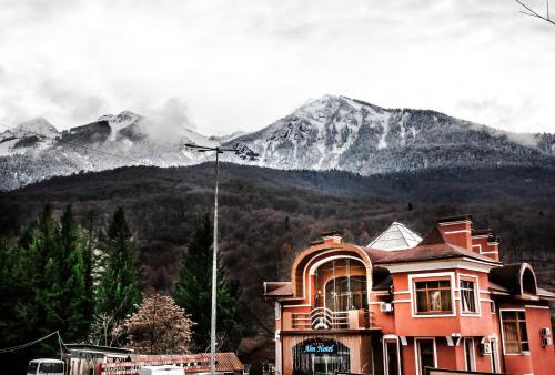 Alm Hotel