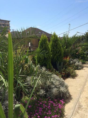 Hostal Guest House Ra-duga