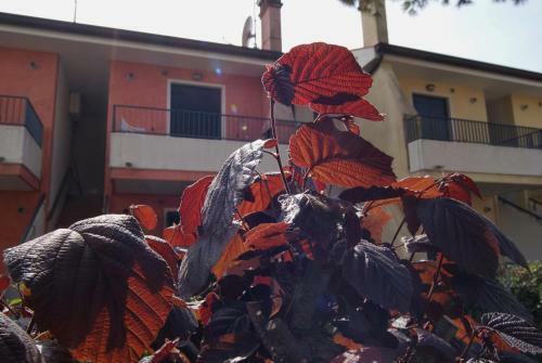 Portosole Apartments
