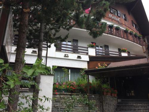 Hotel Betulla