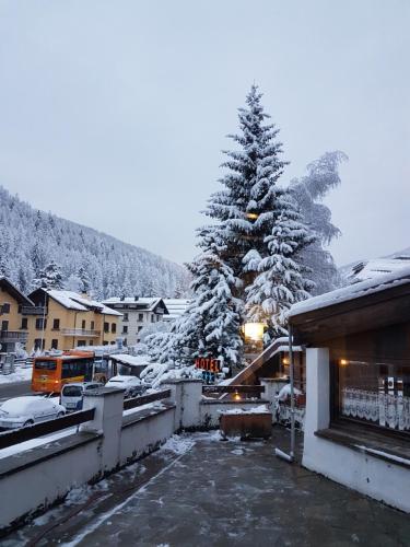 Hotel Betulla