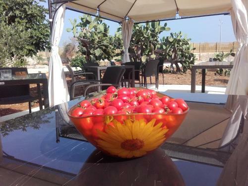 Bed & Breakfast Masseria Centro Colonico